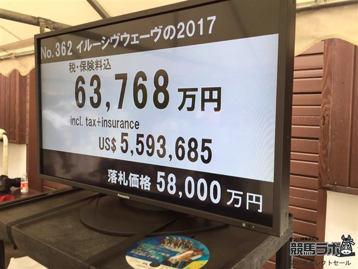 1頭が5億8千万！？サラブレッドのセリ市で歴代2位の落札！