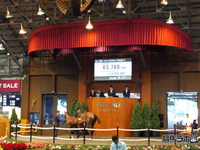 1頭が5億8千万！？サラブレッドのセリ市で歴代2位の落札！