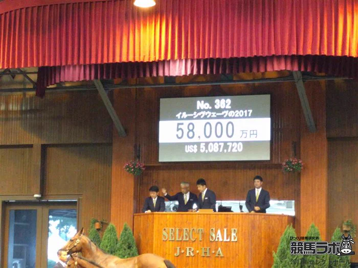 1頭が5億8千万！？サラブレッドのセリ市で歴代2位の落札！