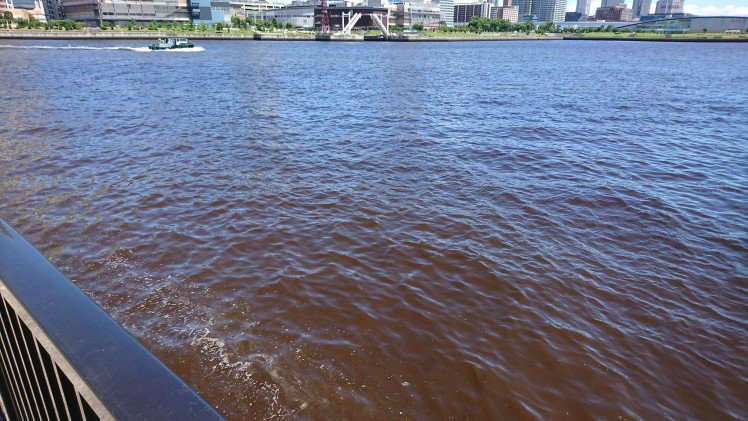 東京湾の赤潮が臭い 異様な赤い海の様子