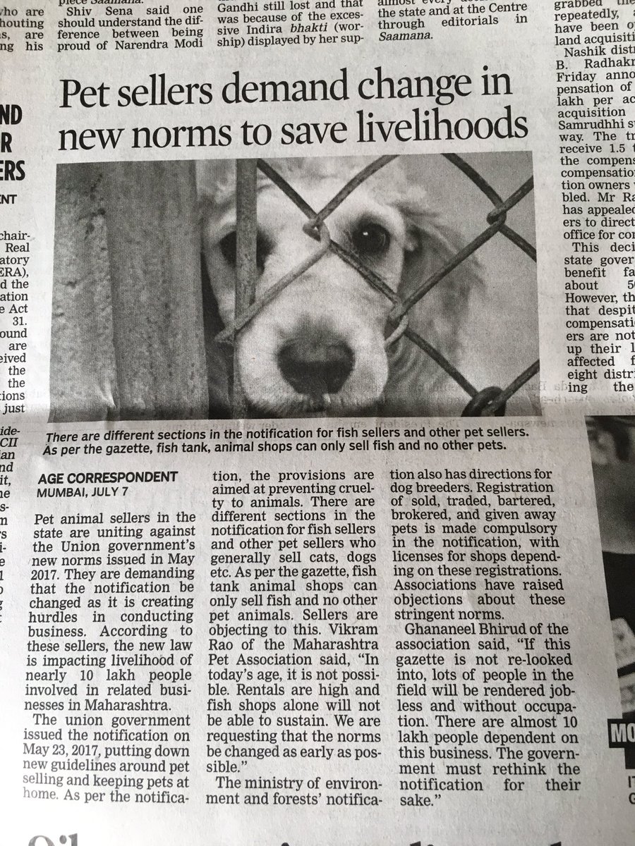 WoofsandHoofsIn's tweet photo. I hope to god this doesnt change! Help abolish #AnimalCruelty , help spread #Awareness Breeding &amp; sellings pets is not a means to make money https://t.co/HyQSjYLqYg