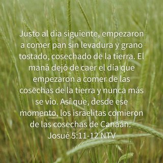 AnaVandelli's tweet photo. *Nuevo tiempo
*El desierto no es p siempre
*Dios cumple sus promesas
#bajotusalas
#misustento https://t.co/TlYehqrZaI