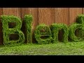 blenderpie's tweet image. Blender Tutorial: Vine Animation Texthttps://youtu.be/LshPEGiHsqc