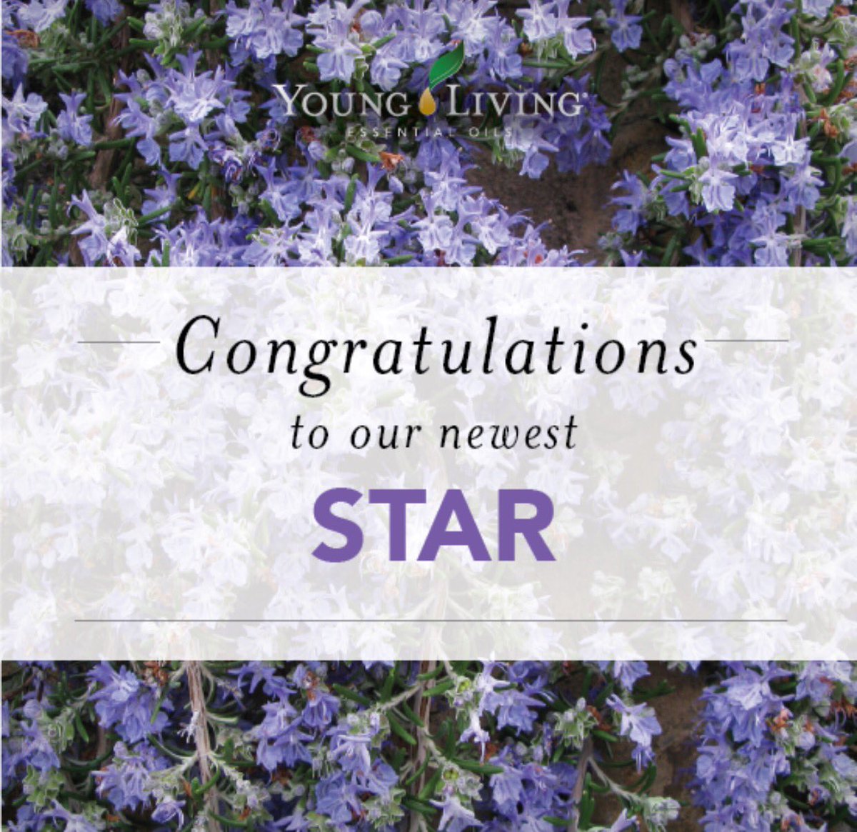 Kathy918Adams's tweet photo. I'm a star!⭐️😳😜#YLStar #yleo #essentialoils https://t.co/BQQkl9KdCr