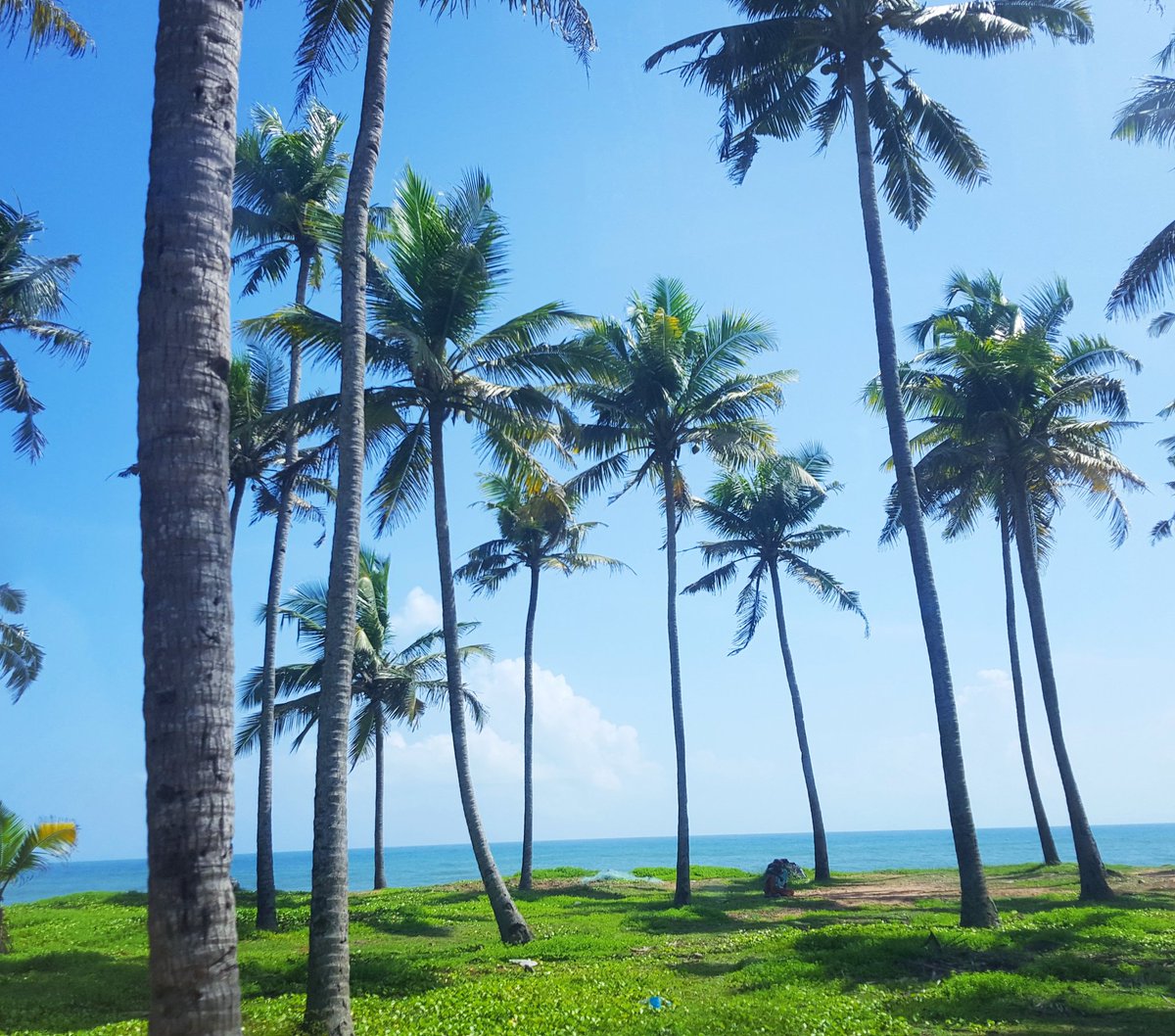 rosealappatt's tweet photo. Beauty 😍😍 #varkalabeach #Kerala #godsowncountry #beach #travel https://t.co/C0LaIOOFt1