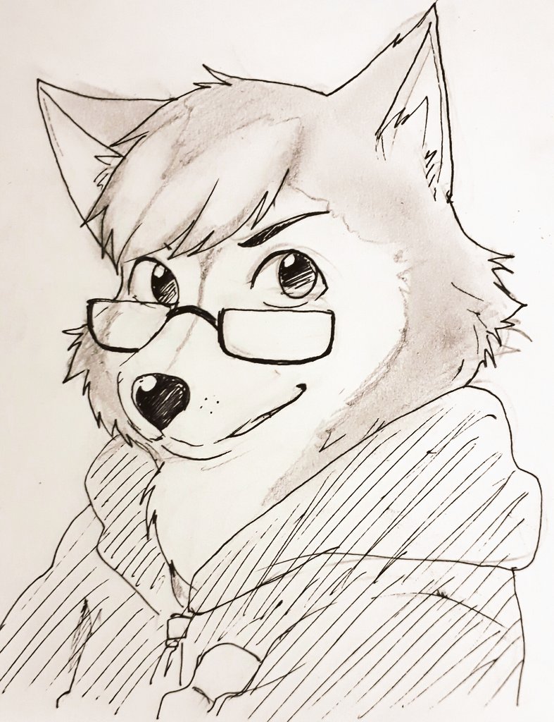 JasMTLL_98's tweet photo. Okay
So what if
I was a Half Shiba Half Husky?
#traditional #fursona #jasumt https://t.co/M8h4FHmSPB