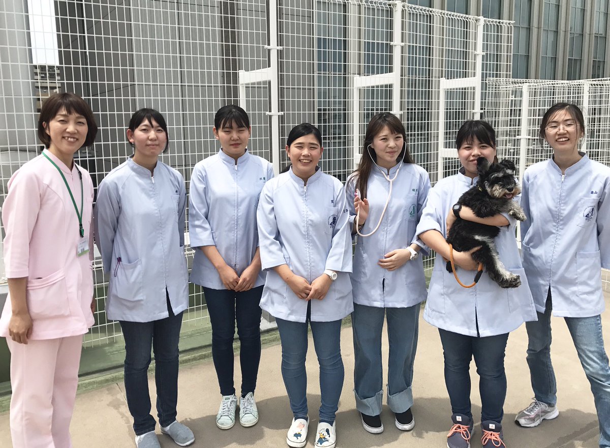 大阪ペピイ動物看護専門学校 Twitter પર 農芸高等学校出身6名 花園高等学校出身4名 多数ご入学いただいてます 立派な動物看護師をめざします 農芸高校 花園高校 出身校 動物看護学科 動物看護福祉学科