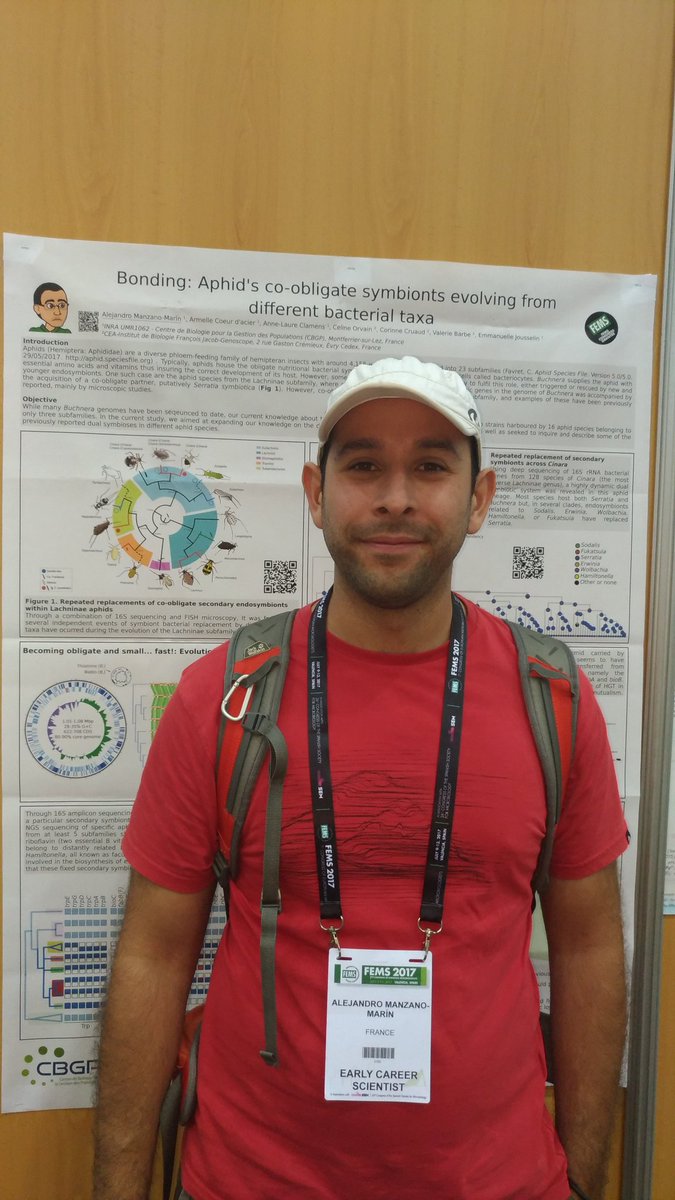 Alejandro Manzano Marín (@amanzanom.bsky.social) (@amanzanom) on Twitter photo Wanna know more about the intricate multi-partner symbioses in #aphids ? Visit poster number 648 #FEMS2017 <a href="/fr_genomics/">France Génomique</a> #INRA Wanna know more about the intricate multi-partner symbioses in #aphids ? Visit poster number 648 #FEMS2017 <a href="/fr_genomics/">France Génomique</a> #INRA