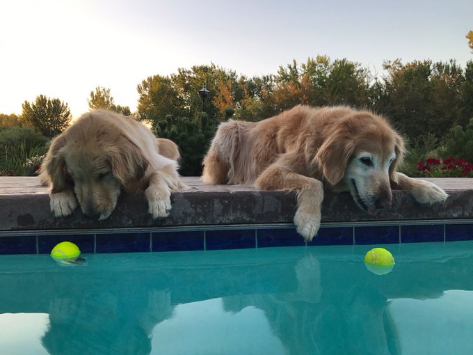 View image on Twitter View image on Twitter