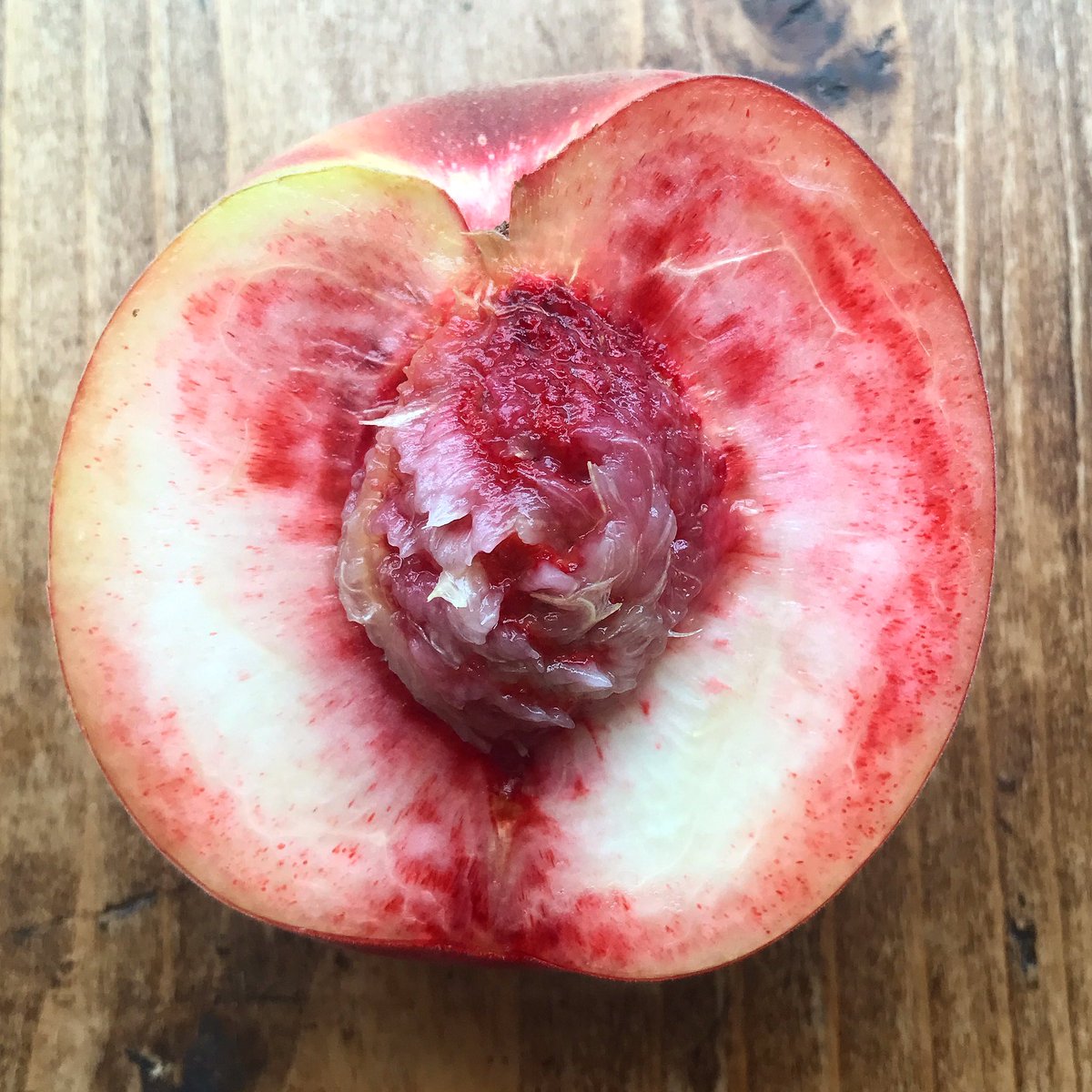 A too-beautiful-to-eat white Greta peach <a href="/Natoora/">Natoora</a> today