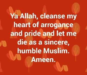 QuranSunnaah's tweet photo. Aameen.. https://t.co/qTxpPyuIfa