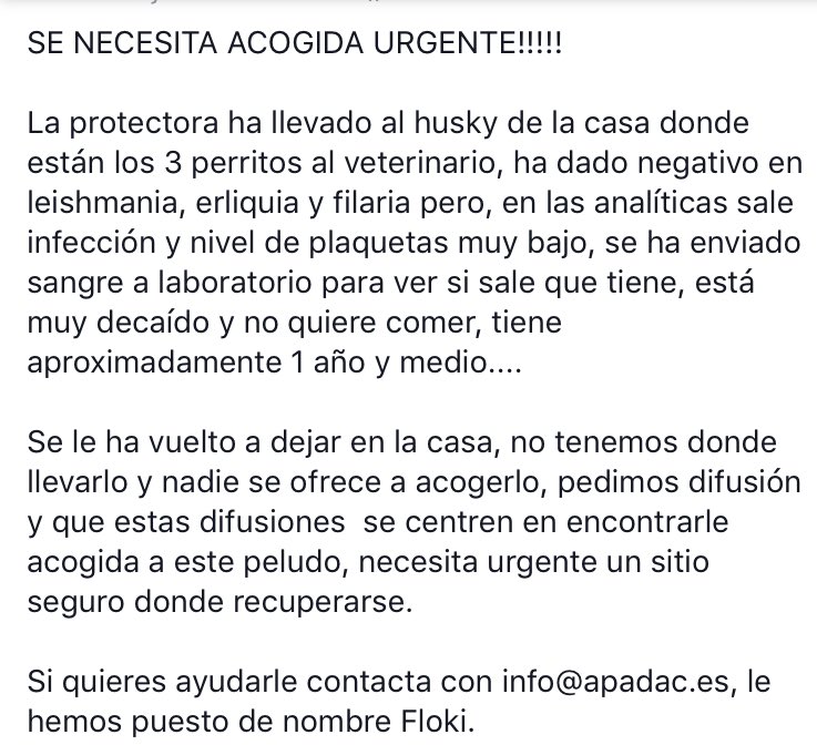 ProtectorApadac's tweet photo. FLOKI #ayuda urgente. @quissos @DesventurasCleo @YolandaC4 @kikupipo @ZeniaCC https://t.co/QCZfDdGJzA
