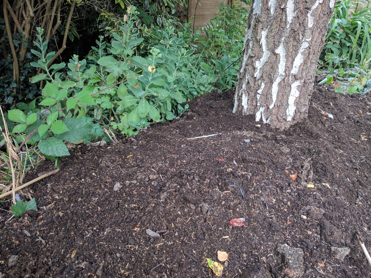 ramincharles's tweet photo. Ahhhh #mulch gives me so much pleasure #simplethings #approaching50 #gardening https://t.co/UwwEH2ah9m