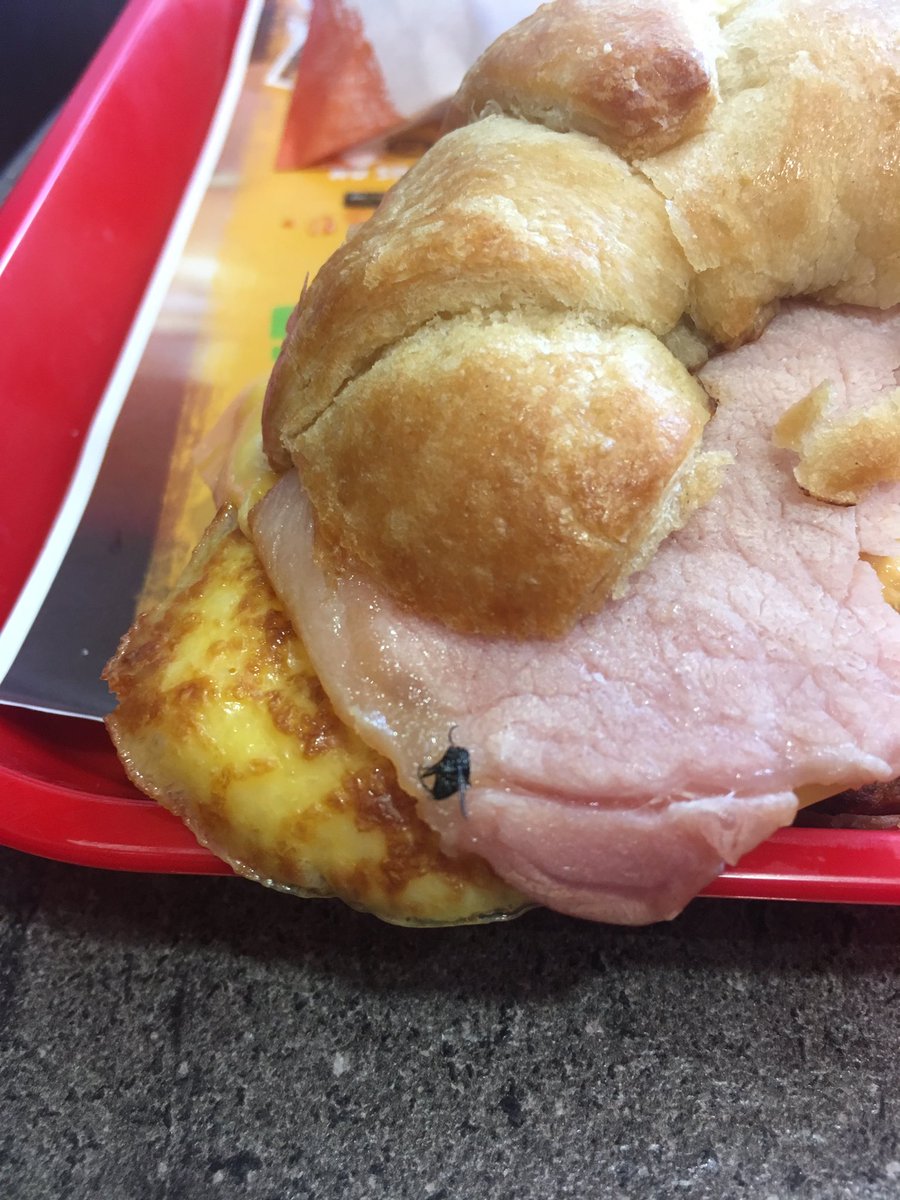 Lawless Collective. tweet media