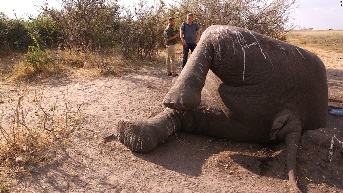 CNN's tweet photo. The era of 'biological annihilation' -- Earth is entering its sixth mass-extinction event, scientists say https://t.co/gy0XEOlTW8 https://t.co/q6zRmYms5g