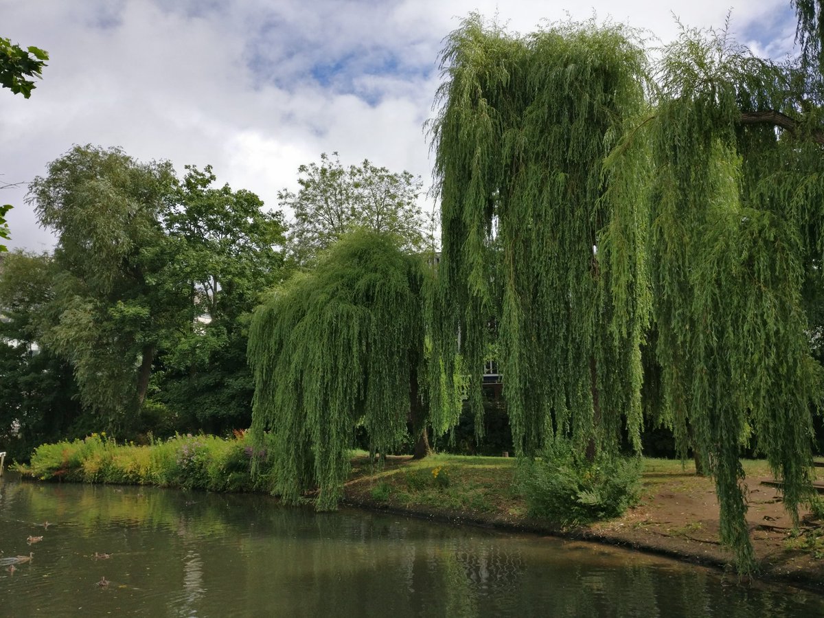 andy_unity's tweet image. Great meeting with the team at @SuperMGames. Good to see an indie continuing to do well year after year!! Good luck tomorrow @developawards