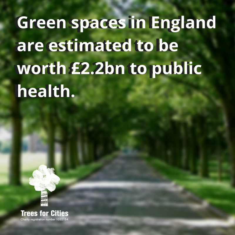 Trees for Cities tweet media
