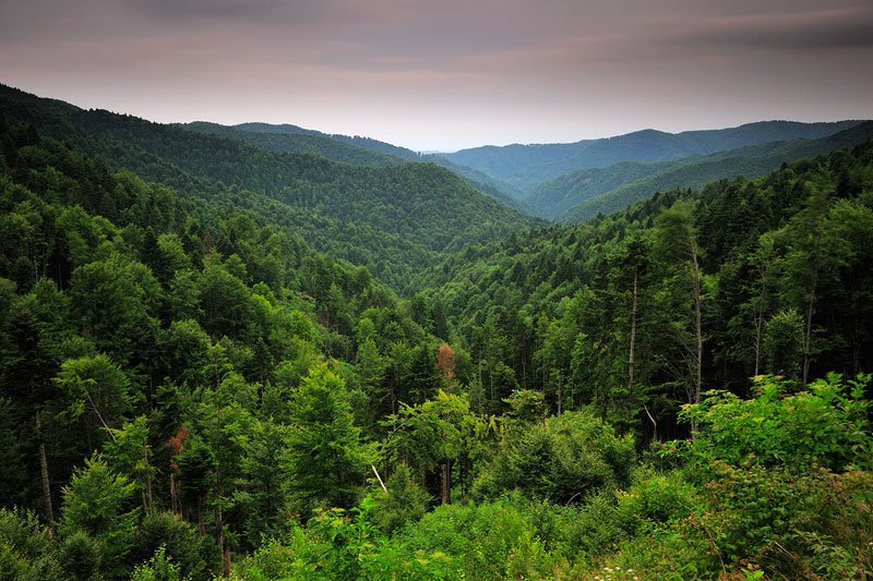 KHamiltonNATO's tweet photo. 3/3 With stewardship over the Danube Delta & some of Europe's most expansive forests, Romania is a key contributor to our planet's future. https://t.co/I3NNdNU06C