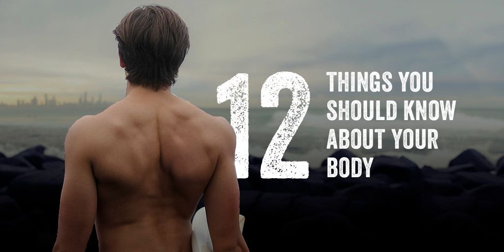 There's loads of talk about female body image, but what about guys? Here's 12 things you need to know: ditchthelabel.org/guys-12-things…