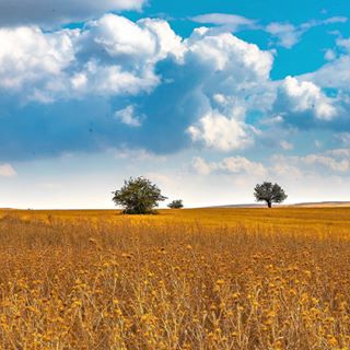 3weekVictoria's tweet image. 