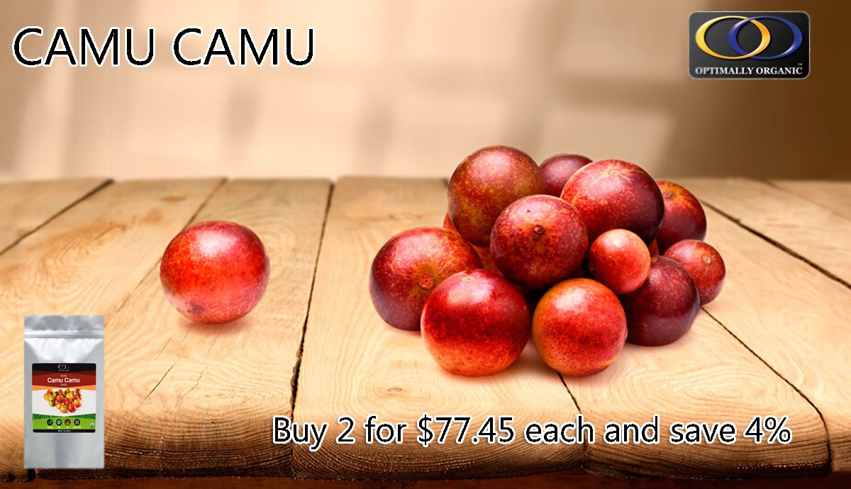 OptimallyO's tweet image. Camu Camu is a delicious #superfood grown organically in the Rainforest, boasting high antioxidant levels. #organicproduct #organicsolution