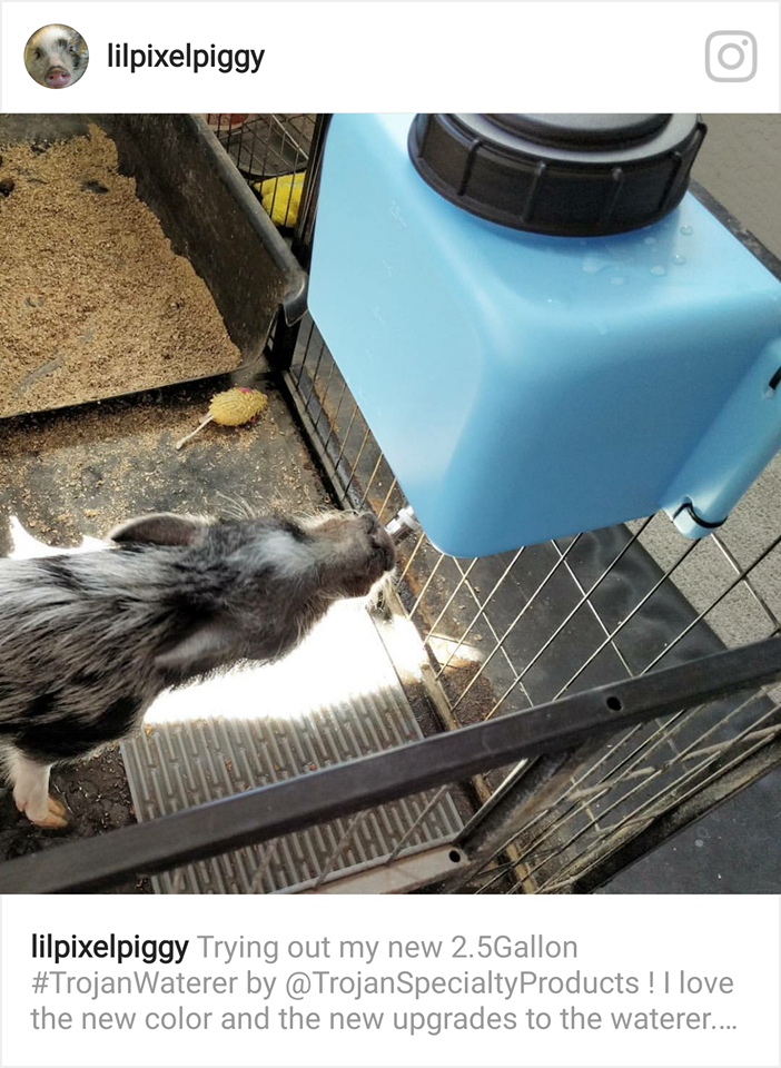 TrojanSpecialty's tweet photo. #TreatYourself and your #PreciousPet on #NationalPetDay with a #TrojanWaterer
#AutomaticWaterer #FreshWater #Pigs #Dogs #TheyDeserveTheBest https://t.co/jJAyR6AbB6