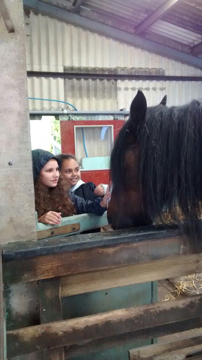 MillenniumSE10's tweet image. 