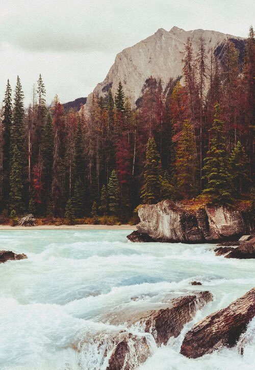 staticanzoni's tweet image. Vorrei che fosse più facile, facile amarmi, amarmi
ma non ho ancora trovato un modo, sono bloccato qui nel mezzo. instagram.com/p/BWZ-GVEjZYA/