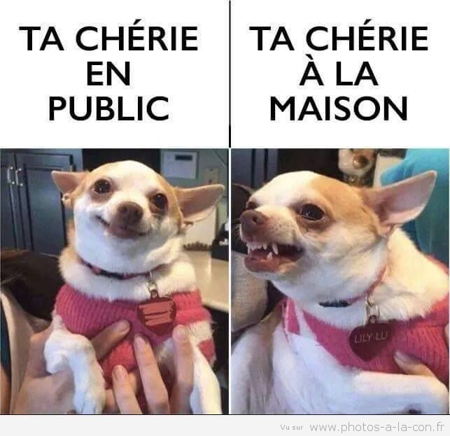 appseduction's tweet image. Tellement vrai ! 😂

#chérie #love #couple #RelationshipGoals #CoupleGoals #CoupleGoal #amour #Dog #celibat #duo #girlfriendgoals #copine
