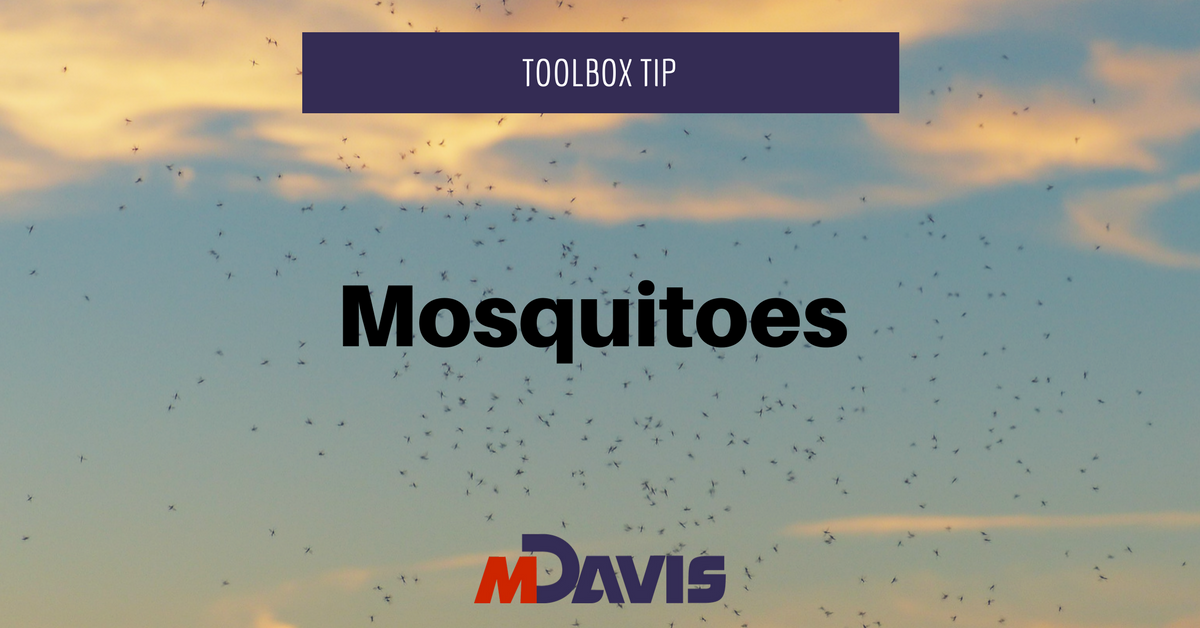 MDavisAndSons's tweet photo. Prevent mosquito-borne illnesses. Regularly empty planters, vases etc. Mosquitoes lay their eggs in standing water #ToolboxTip #SafetyALWAYS https://t.co/6FchlDIfjy