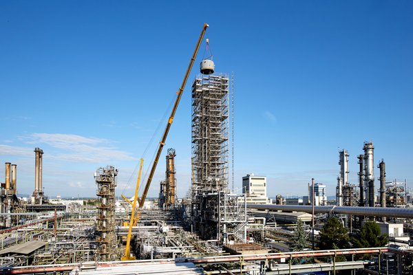 Cranes Today tweet media