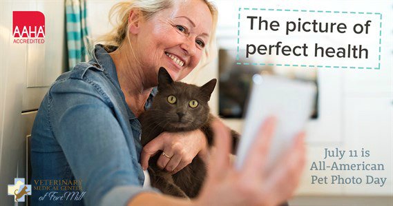 vmcfortmill's tweet photo. Today is All-American Pet Photo Day! We would love to see pics of your All-American Pet! #selfie #vmcfortmill #petpics https://t.co/qgqL5eC6hC