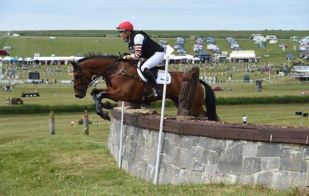 Dengie Horse Feeds tweet media