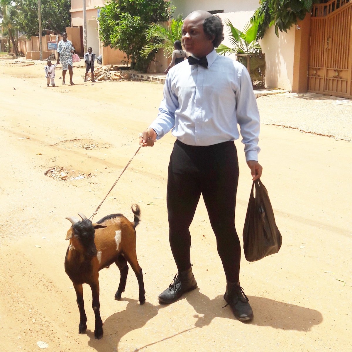 ENOCKDARKO7's tweet photo. #TEAMFOOLINGNATION🗺
HI FANS WASUP!!!???
YEA! YEA! TAKING MY #GOAT FOR A HEALTH WALK...MR.TUTU🔥🔥 https://t.co/gc7OUEMpvc