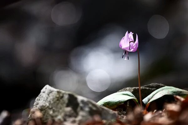 유지나 ♡작가♡ tweet media