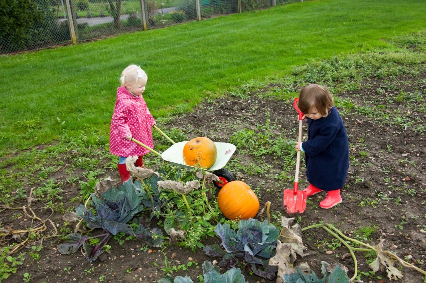 Just because it is July, that doesn’t mean you can’t start a garden: ow.ly/Koyf30doNBt