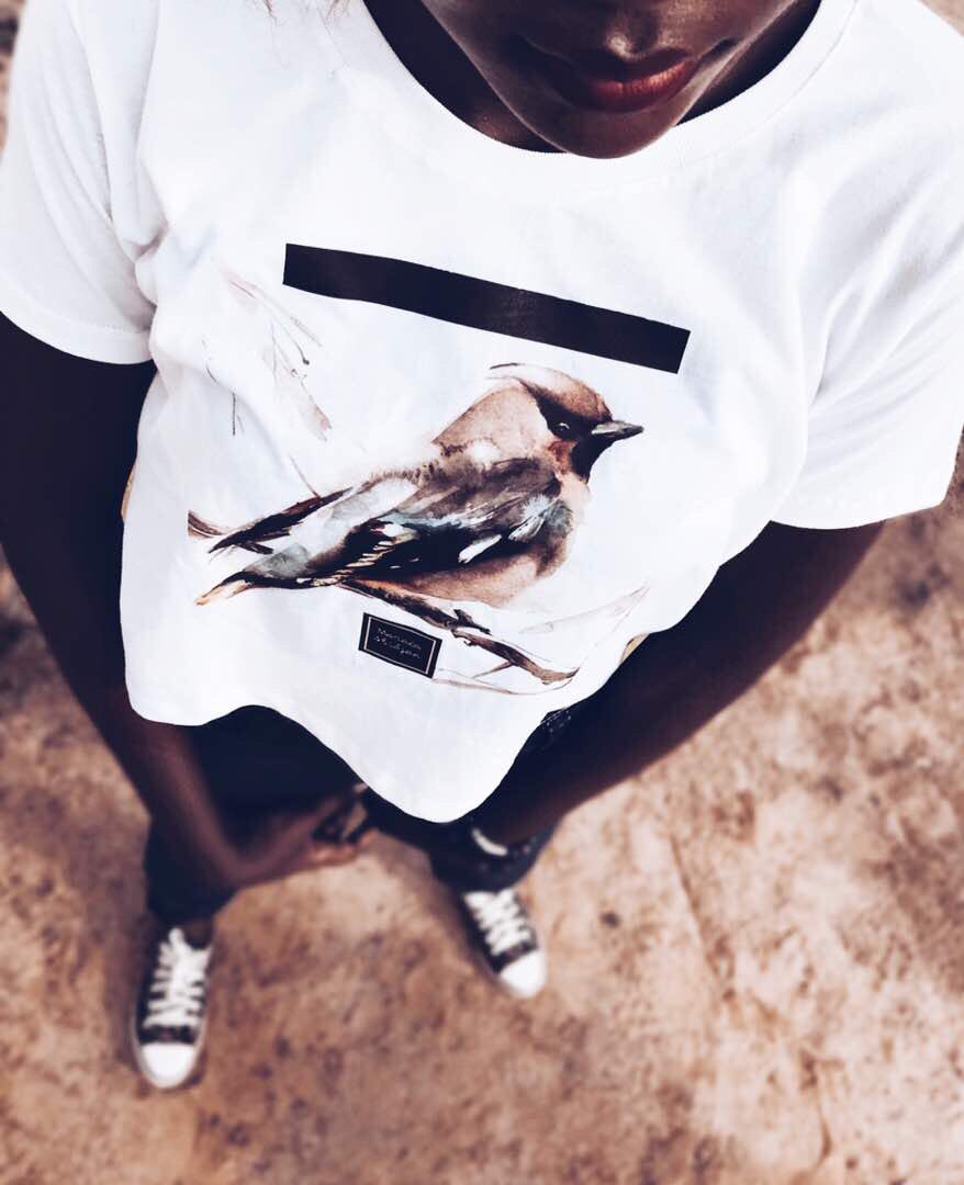 maracaabidjan's tweet photo. ᴀʀᴛɪsᴛᴄ ʙɪʀᴅ 🐧🔻 #ᴄʜᴀᴏs #ᴄᴏʟʟᴇᴄᴛɪᴏɴ #2ᴋ17 https://t.co/eIHWOWQ8Ll