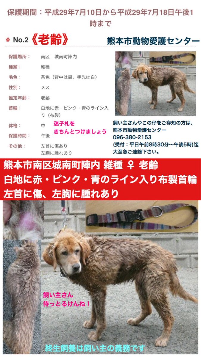 天真留 てんまる S16a11k24k13ot0 Twitter