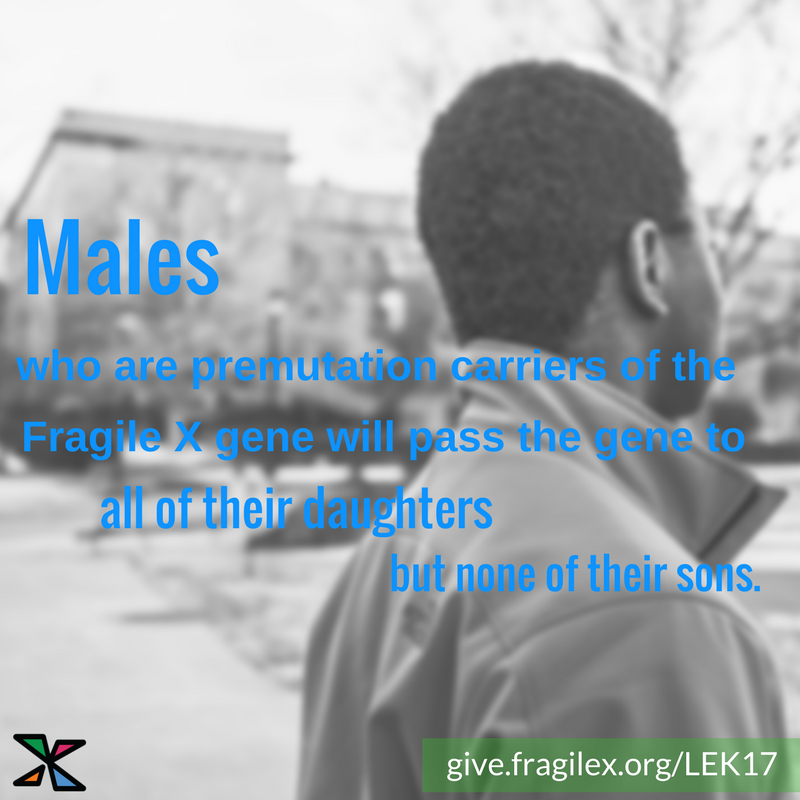 NFXFoundation's tweet photo. Male #FragileX premutation carriers https://t.co/z5UFvllaQd