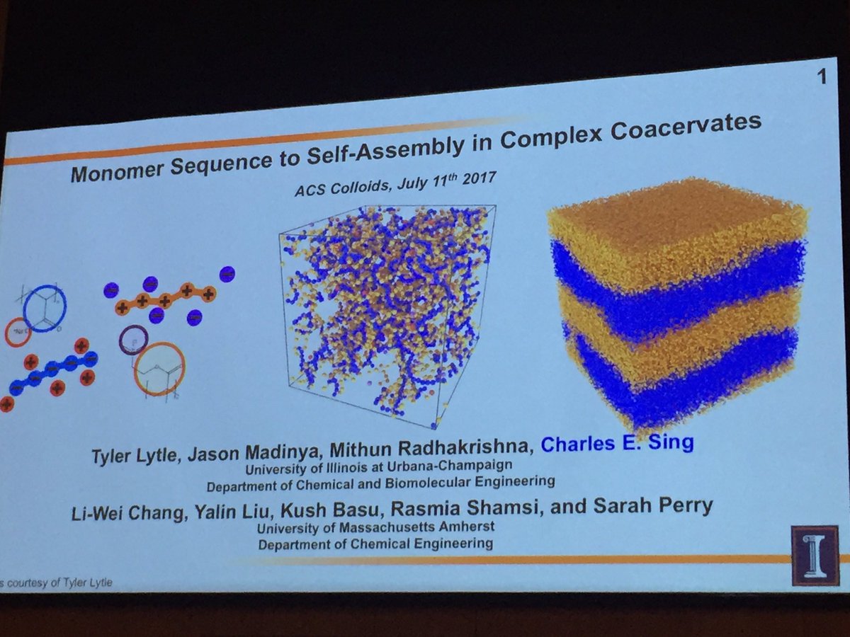 perrys_lab's tweet image. Awesome keynote by @SingLabUIUC at the #ACSColloids meeting!
