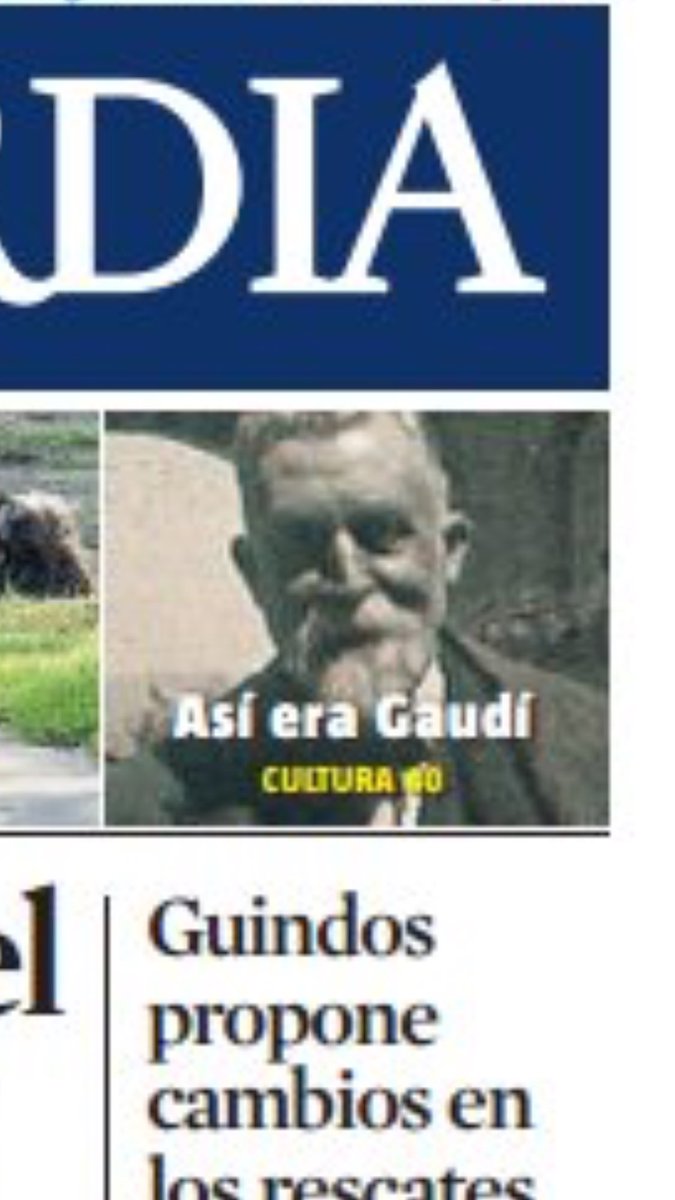 Beli Artigas tweet media