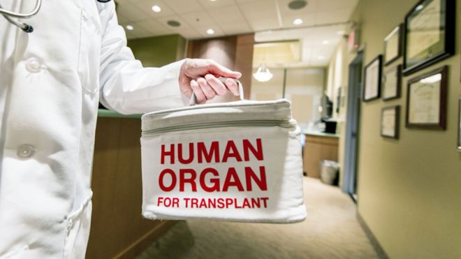 TerryShelbourne's tweet photo. Amazing news https://t.co/i0ZAZXhxOB 50,000 transplant operations in the UK! If you want medical insurance that covers transplants, ask me! https://t.co/eugERUYWCn