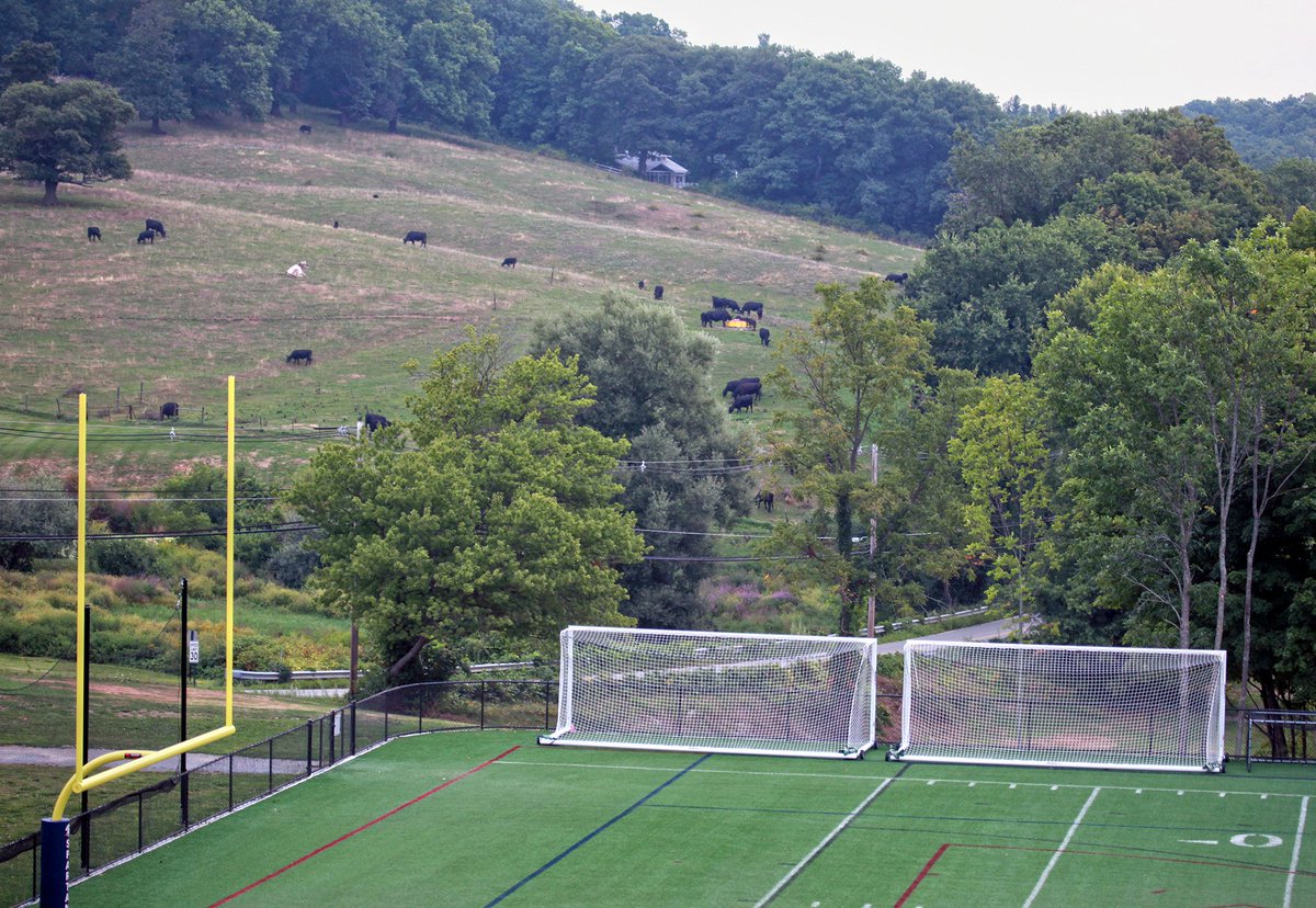 lawrenceacademy's tweet image. Happy #CowAppreciationDay. Nice cows @GibbetHillGrill. #SoPeaceful