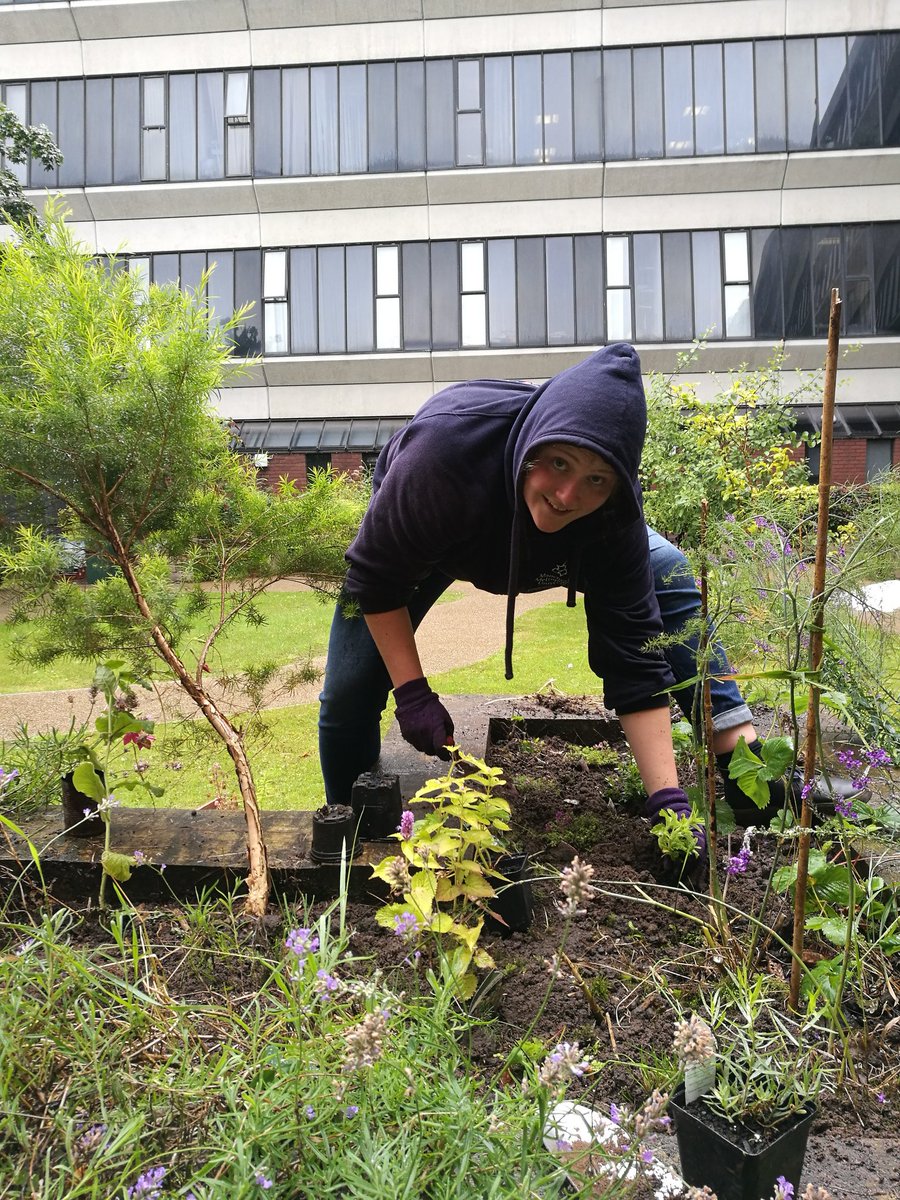 McrMetSustain's tweet photo. Finished up some of the planting from our #Engageweek17 session with Kath from @HulmeCgardenC. Lovely afternoon for it 🌧️🍓🌾 https://t.co/b1swA3wScq