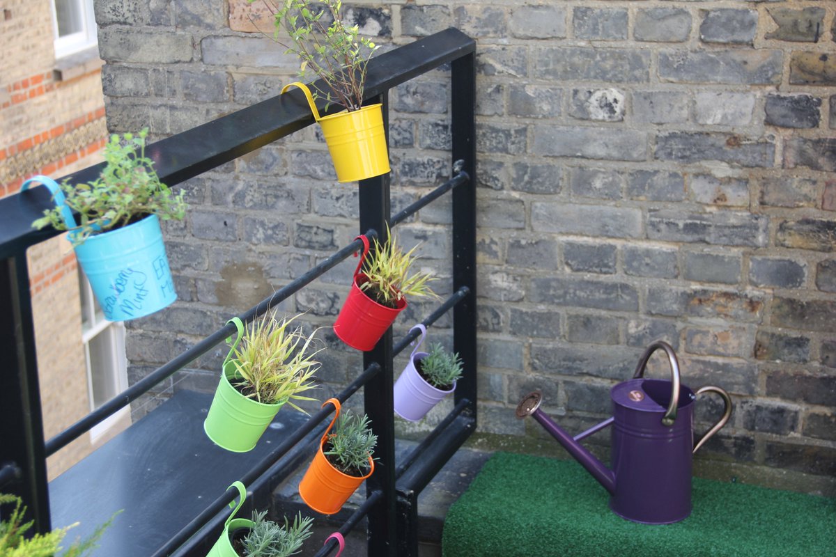 Missing working in the glorious sunshine in our great outdoor space! #outdoorworkspace #plants #antipollution #droughtresistant #LEDlights