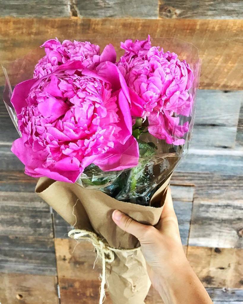 WindyCityBlogCo's tweet photo. A little something to brighten your Tuesday morning from @lifeintheloop! #WCBCLife // #WindyCityBloggers https://t.co/8dyHGhlkwa https://t.co/qEn0VbdNC0