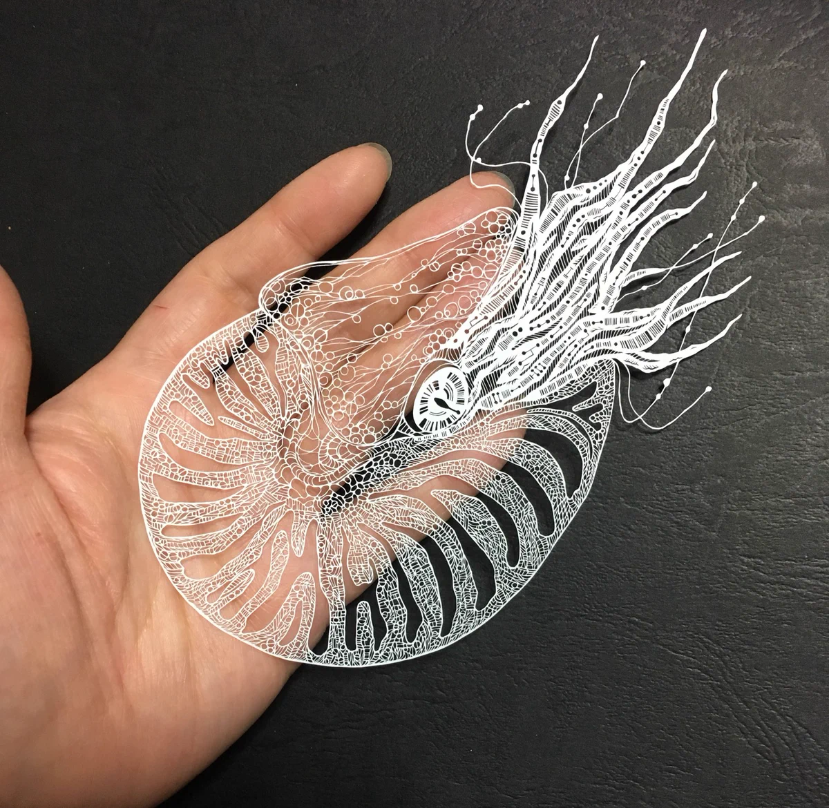 美しすぎる！w切り絵で作られた繊細なアートがすごすぎるww