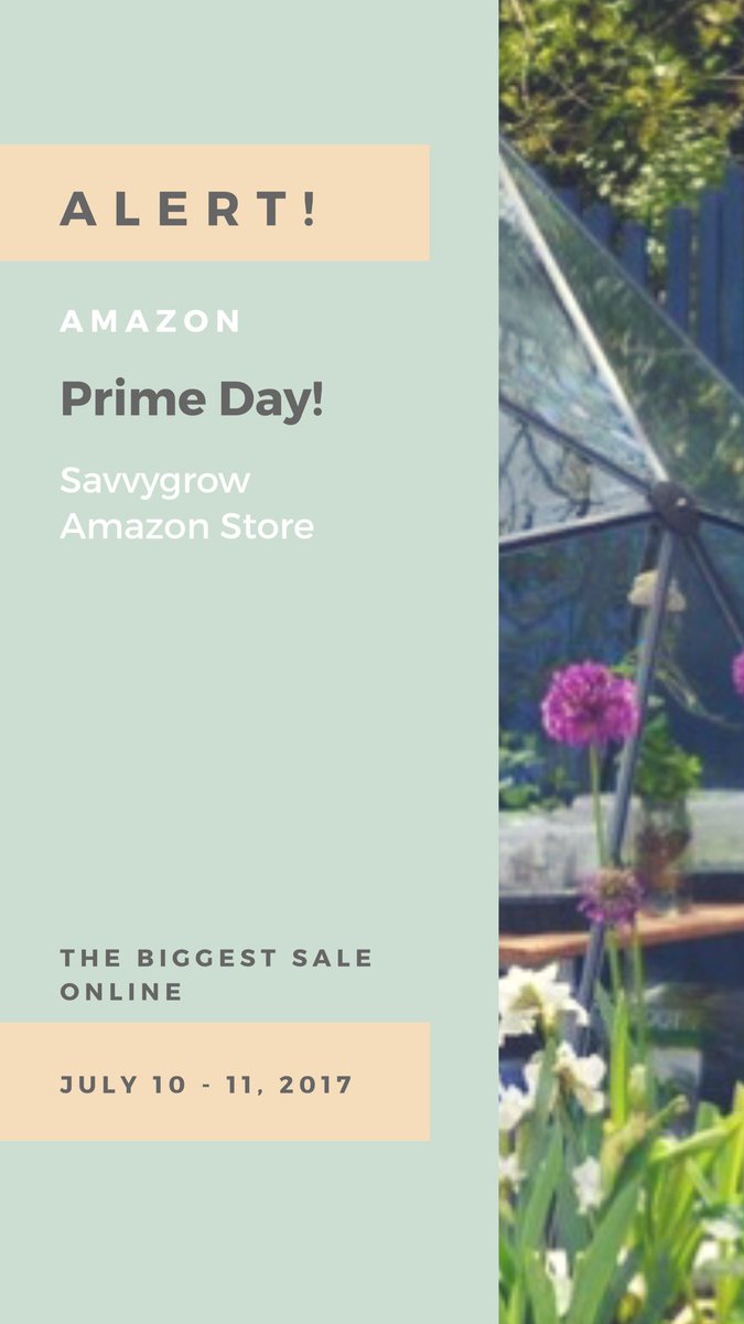 SavvyGrow's tweet photo. Huge discounts: https://t.co/QJbJ0vUALF https://t.co/zVQ0pMEOno