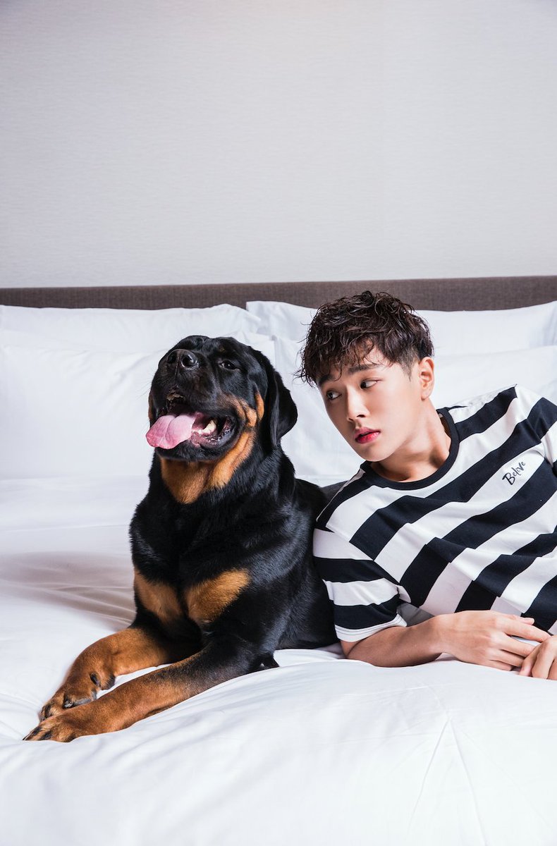 UNIQ_5's tweet photo. [#PHOTO] UNIQ WENHAN X CHINA MOGU STREET image (2)
#UNIQ #유니크 #WENHAN #문한 #이문한 https://t.co/m2gGvV5Gs5
