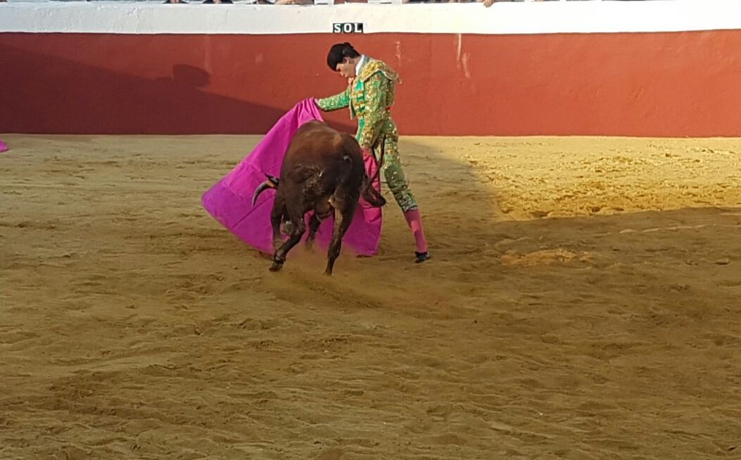 Esc. Taurina Huelva tweet media